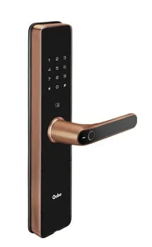 Qubo Smart Door Lock