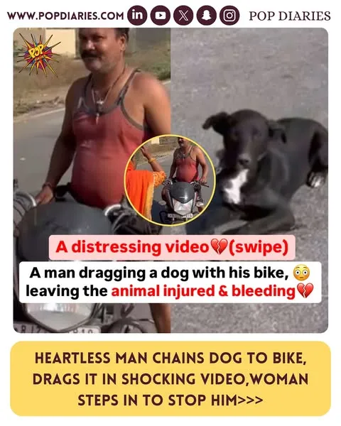 https://www.instagram.com/p/DHc8v3BMlBv/?img_index=2&igsh=MTNsb3BsbnV1NzlpbQ%3D%3D