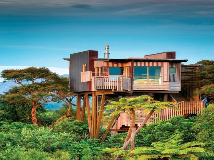 Nature's Beauty: Top 8 World's Coolest Treehouses