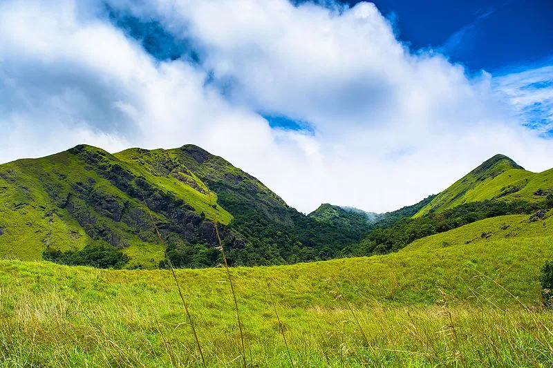 Wayanad district - Wikipedia