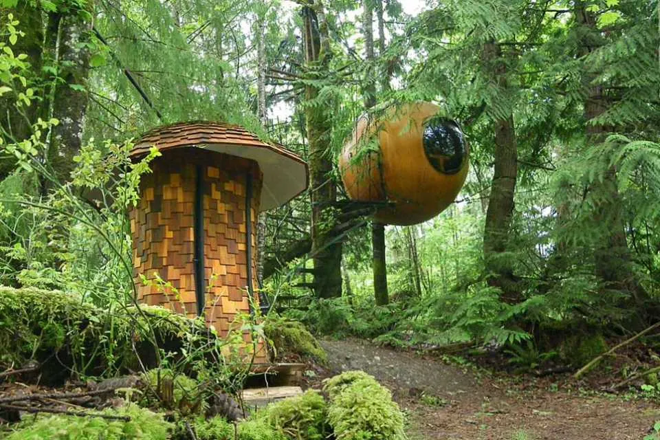 Nature's Beauty: Top 8 World's Coolest Treehouses