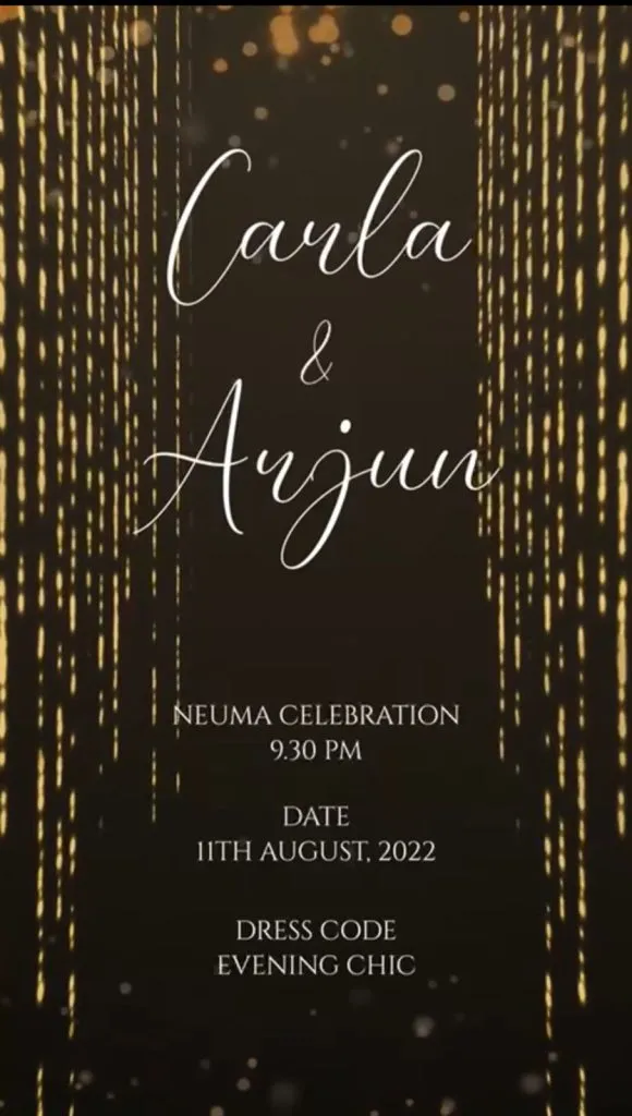 Arjun And Carla's wedding party<br />
