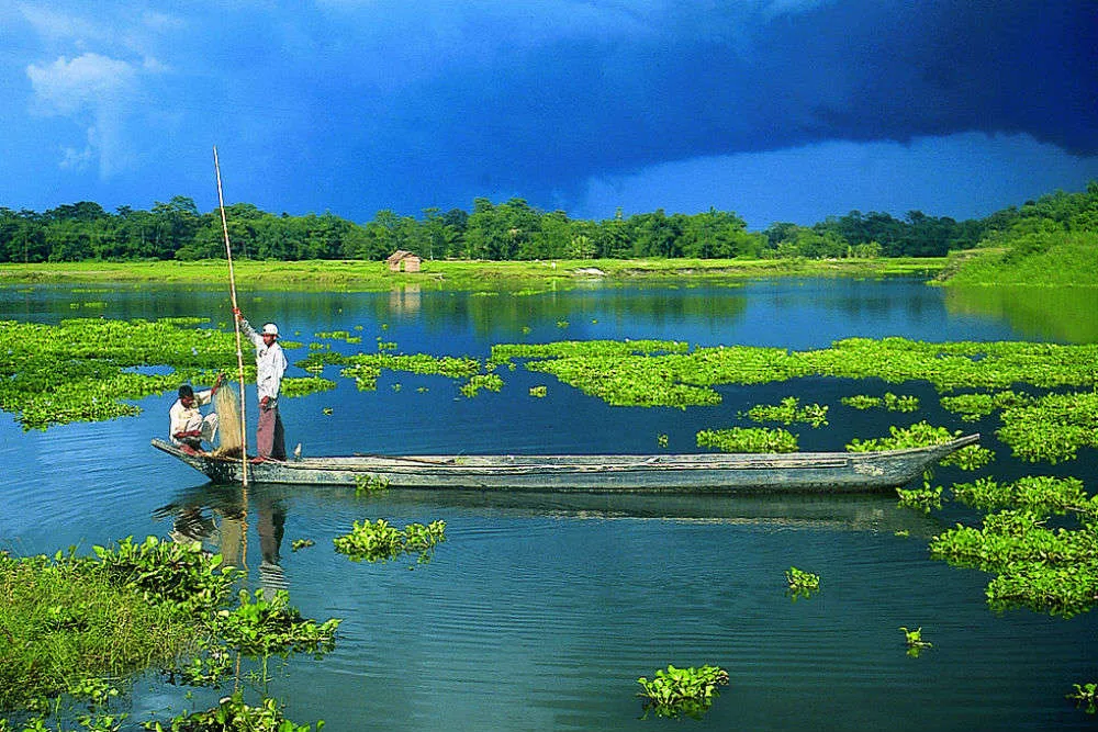 Majuli—the world's largest river island might just disappear in the future  | Times of India Travel