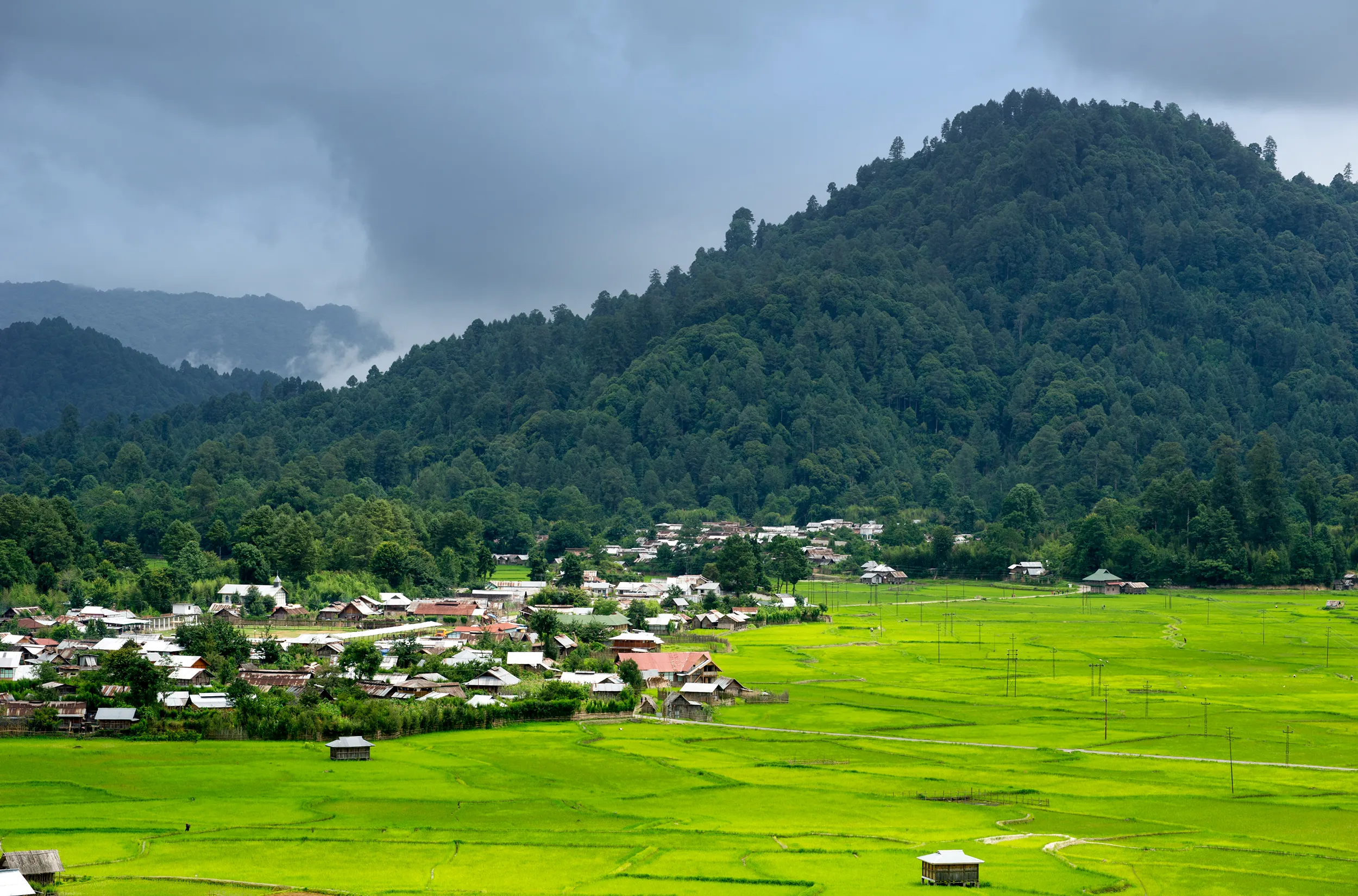 Ziro - Wikipedia