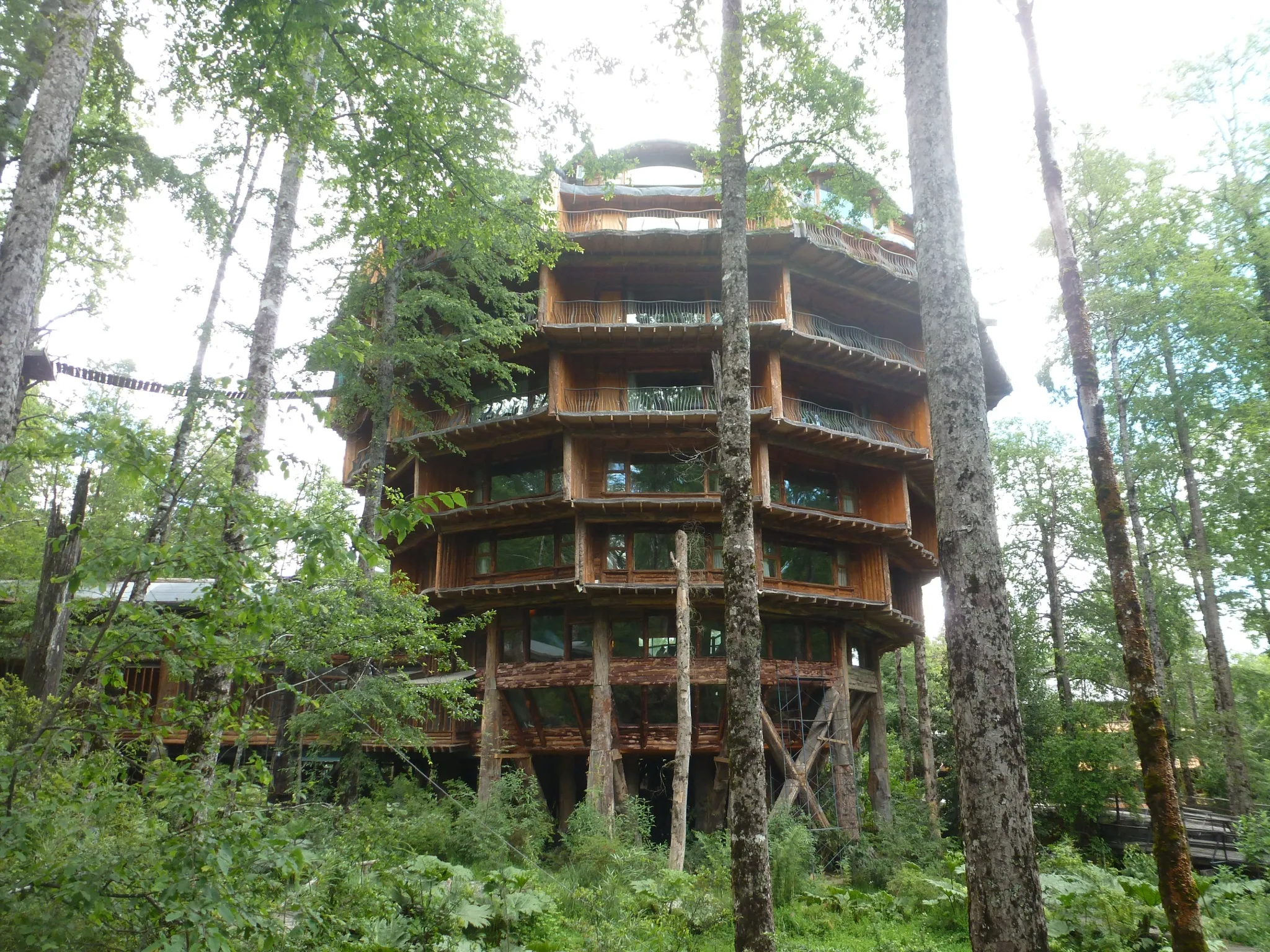 Nature's Beauty: Top 8 World's Coolest Treehouses