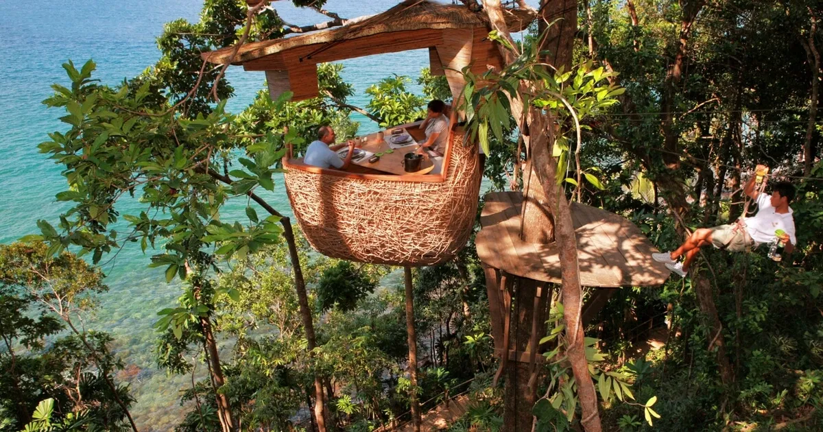 Nature's Beauty: Top 8 World's Coolest Treehouses