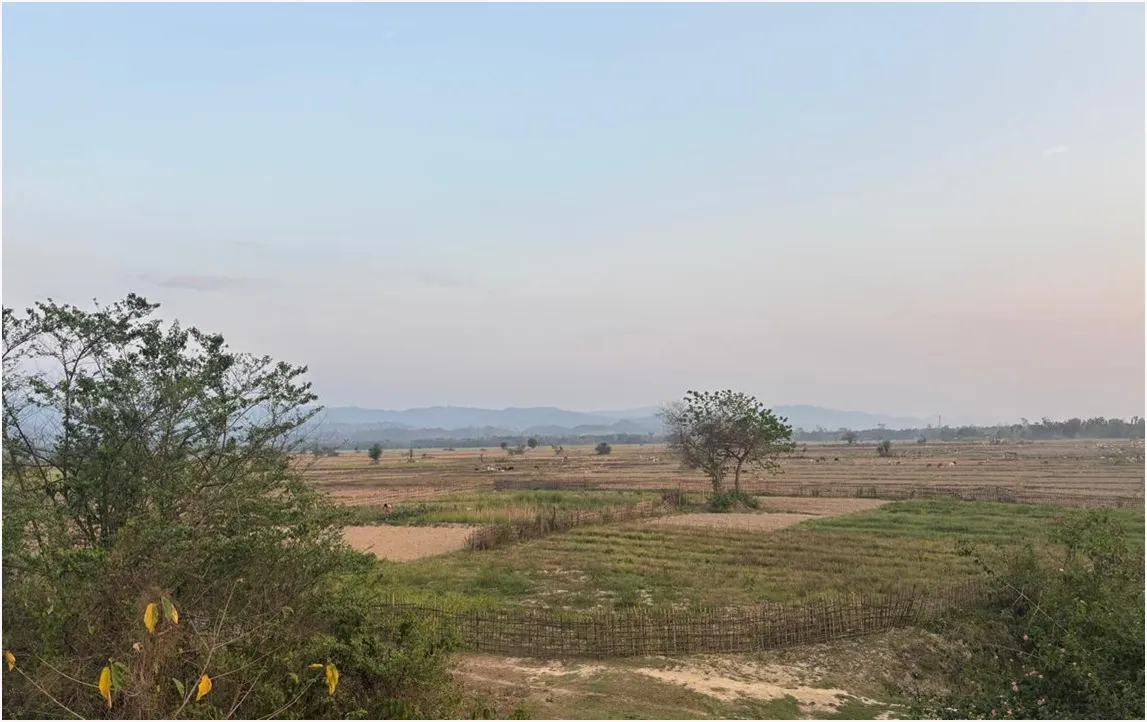 The seed farm, Merapani. A sprawling plain field. 