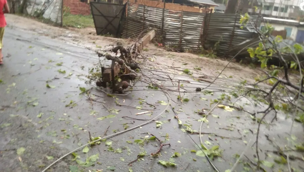 Damages caused by the storm  