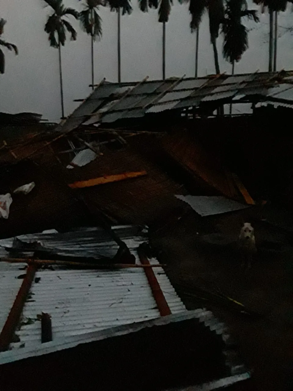 Damages caused by the storm  