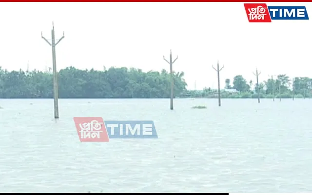 Just water and electric posts visible in a village in Kokrajhar  