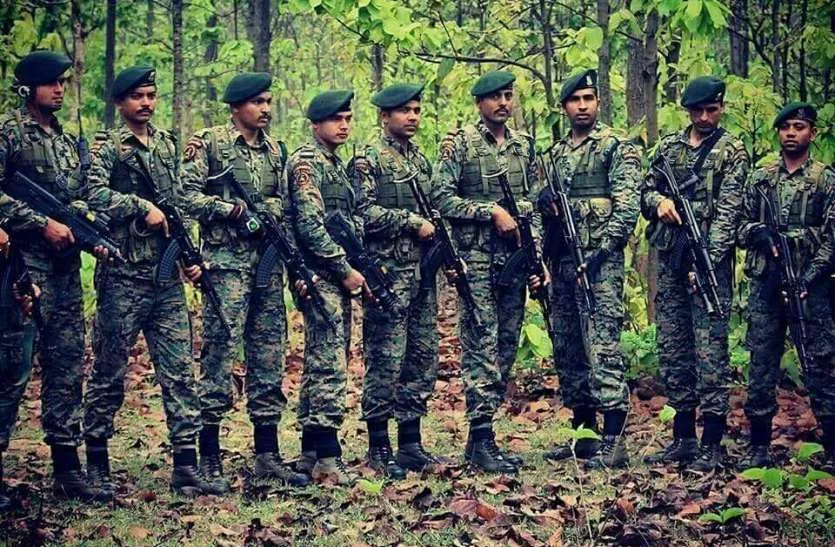 CoBRA battalion  