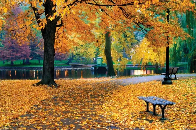Autumn Equinox  