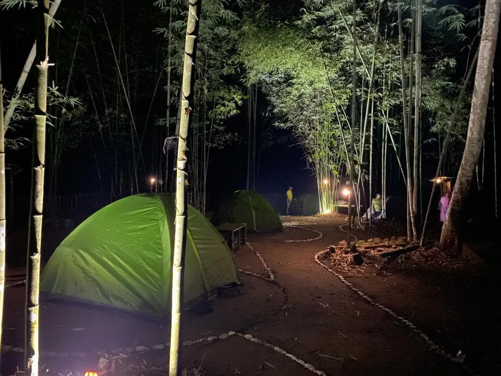 Borail Eco Camp in Assam  