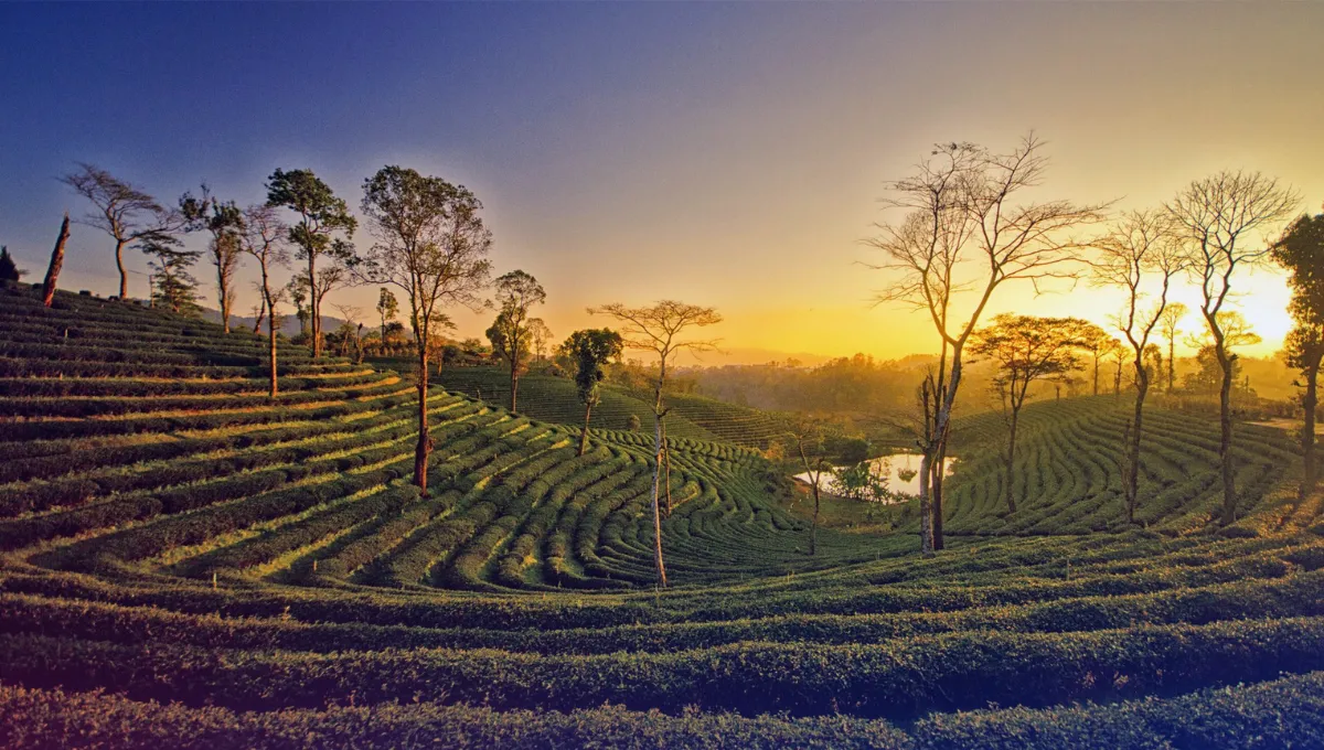 Assam Honeymoon Destinations in Northeast India  Pratidin Time