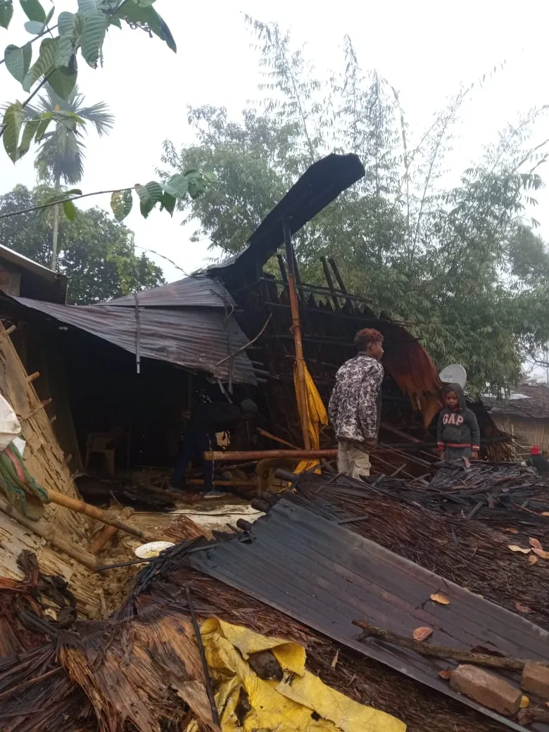 The destruction caused by the tusker  