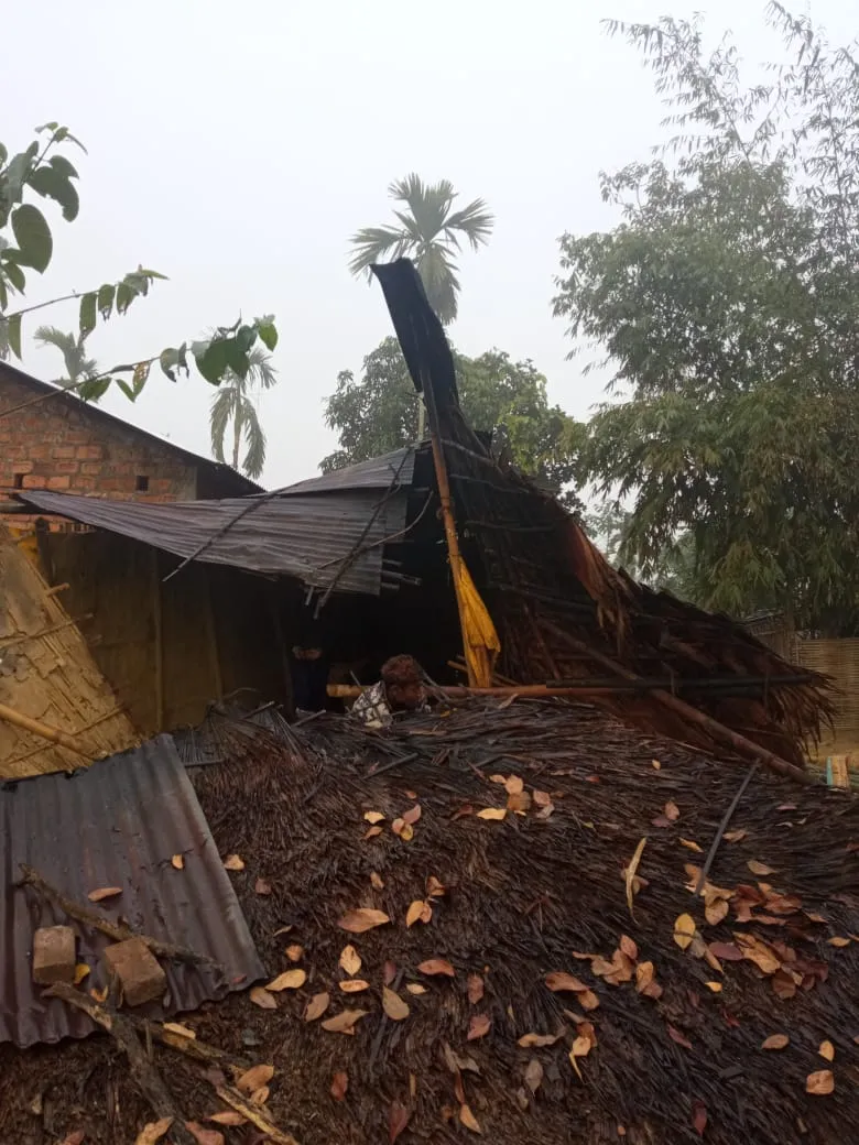The destruction caused by the tusker  