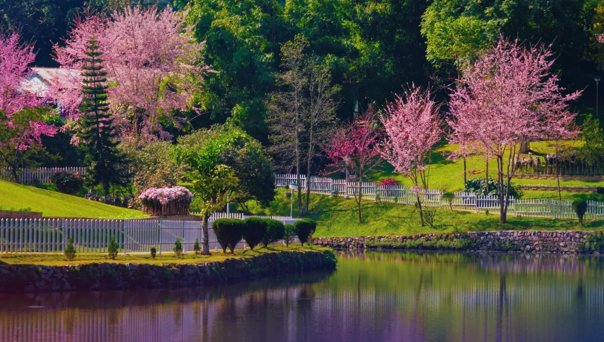 Shillong Honeymoon Destinations in Northeast India  Pratidin Time