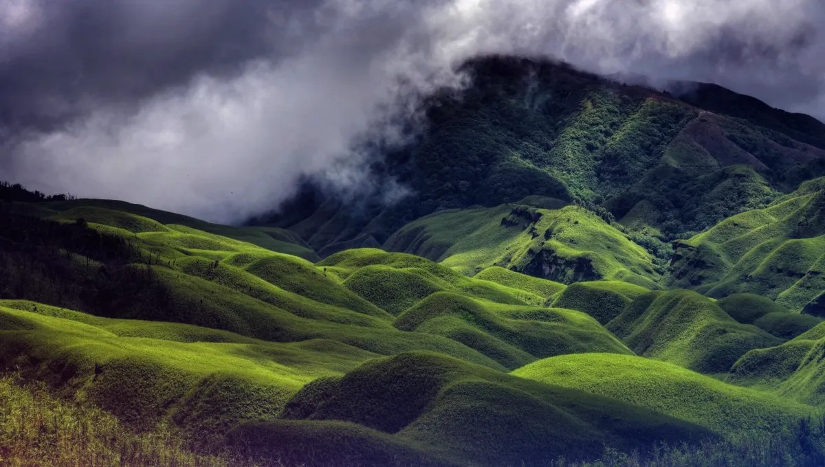 Dzukou Valley Honeymoon Destinations in Northeast India  Pratidin Time