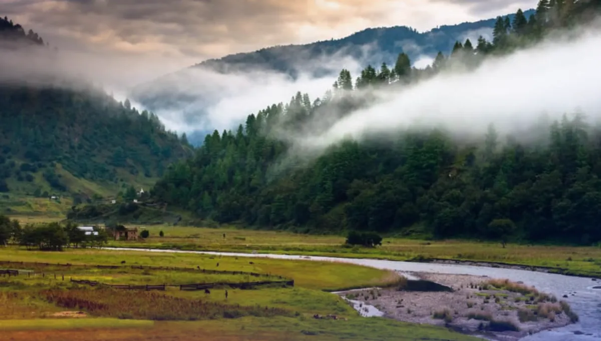 Ziro Valley Honeymoon Destinations in Northeast India  Pratidin Time