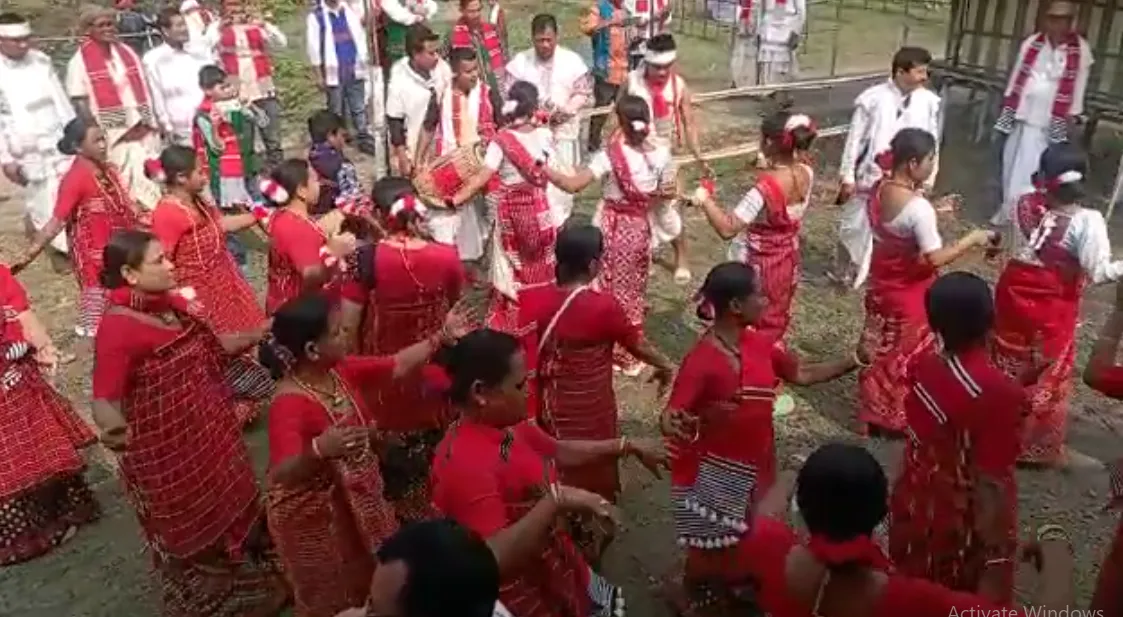 Ali-Aye-Ligang celebrations in Assam's Dhemaji  