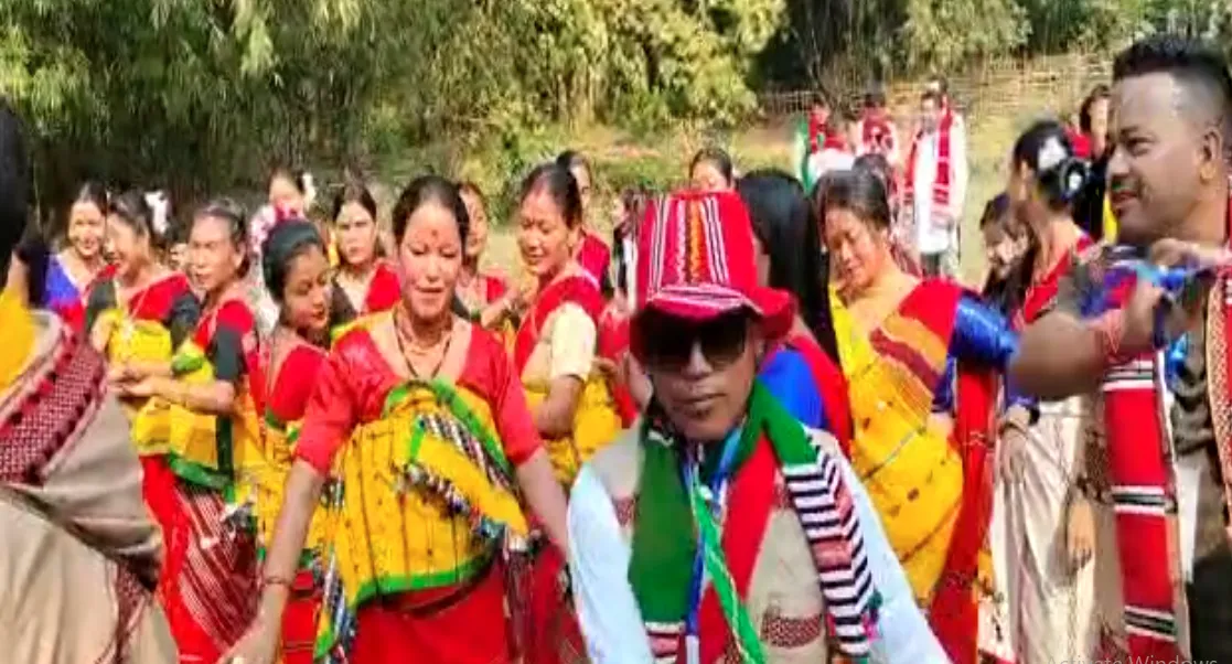 Ali-Aye-Ligang celebrations in Assam's Jamugurihaat  