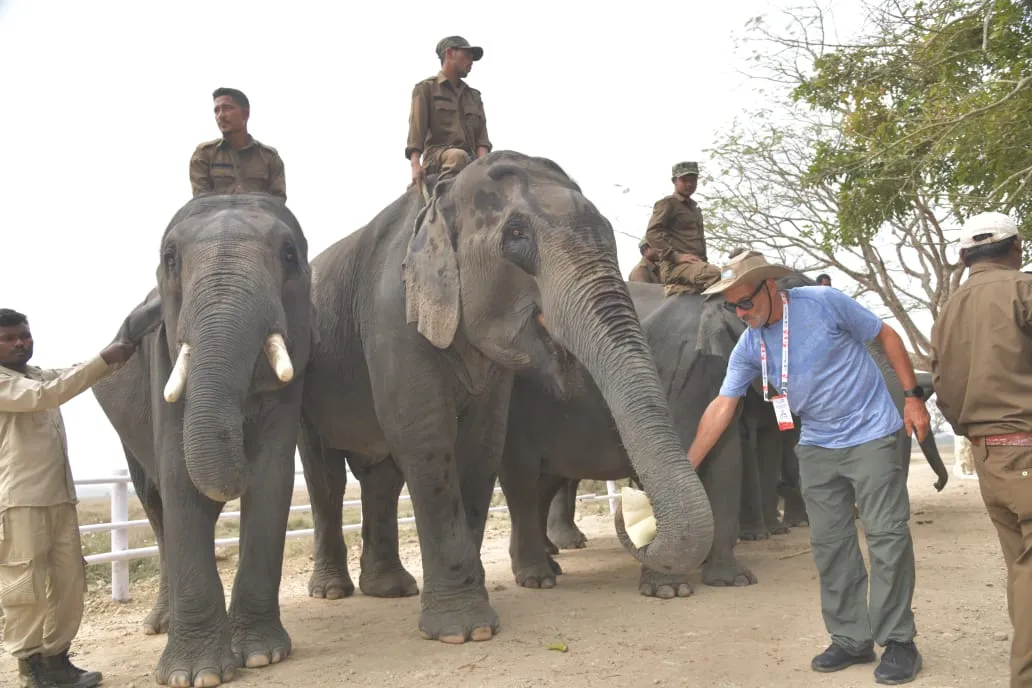 G20 delegation visit Kaziranga National Park in Assam  