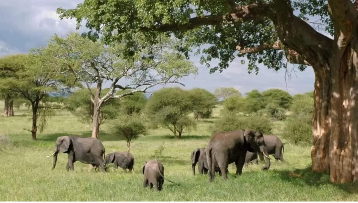   Gumti Wildlife Sanctuary 