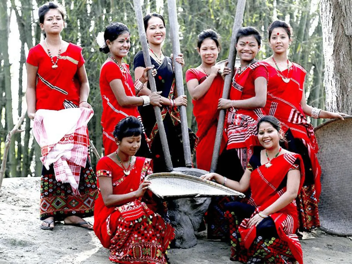 Traditional attire of the Mishing Tribe  