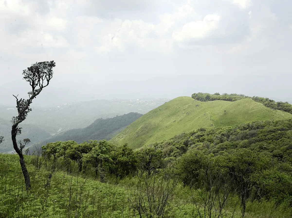 Shirui National Park  