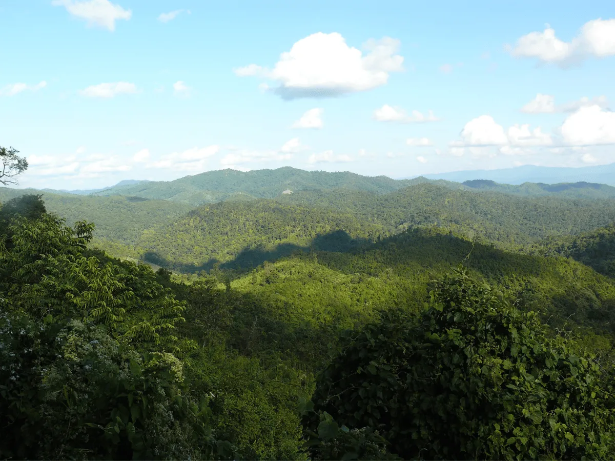 Yangoupokpi-Lokchao Wildlife Sanctuary  
