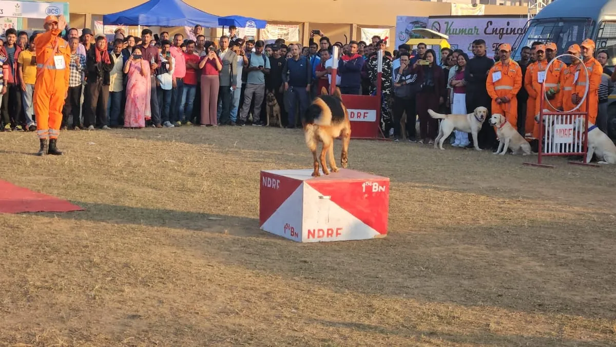 Dog Show At Assam International Agri-Horti Show 2023 Wows Crowds  
