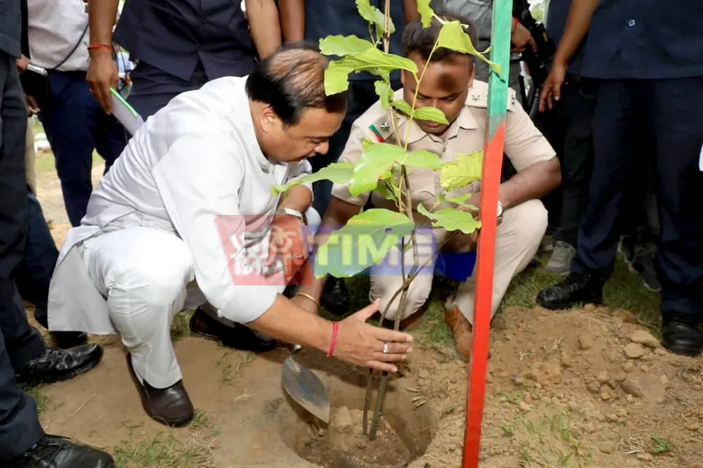 2023: Assam created world records in tree plantations through Amrit Brikshya  