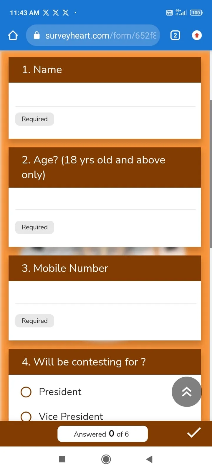 The screenshots of online form  