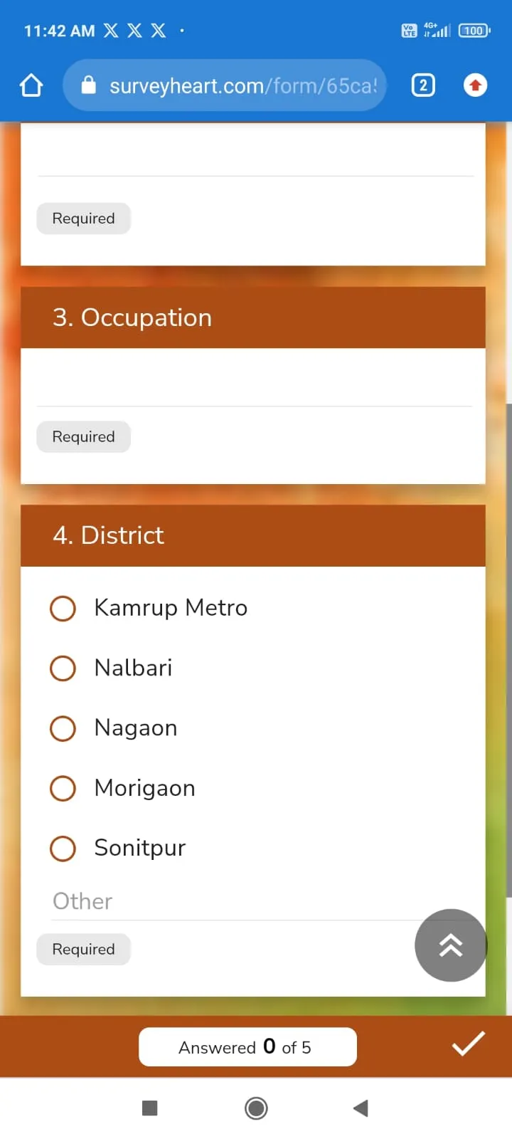The screenshots of online form  