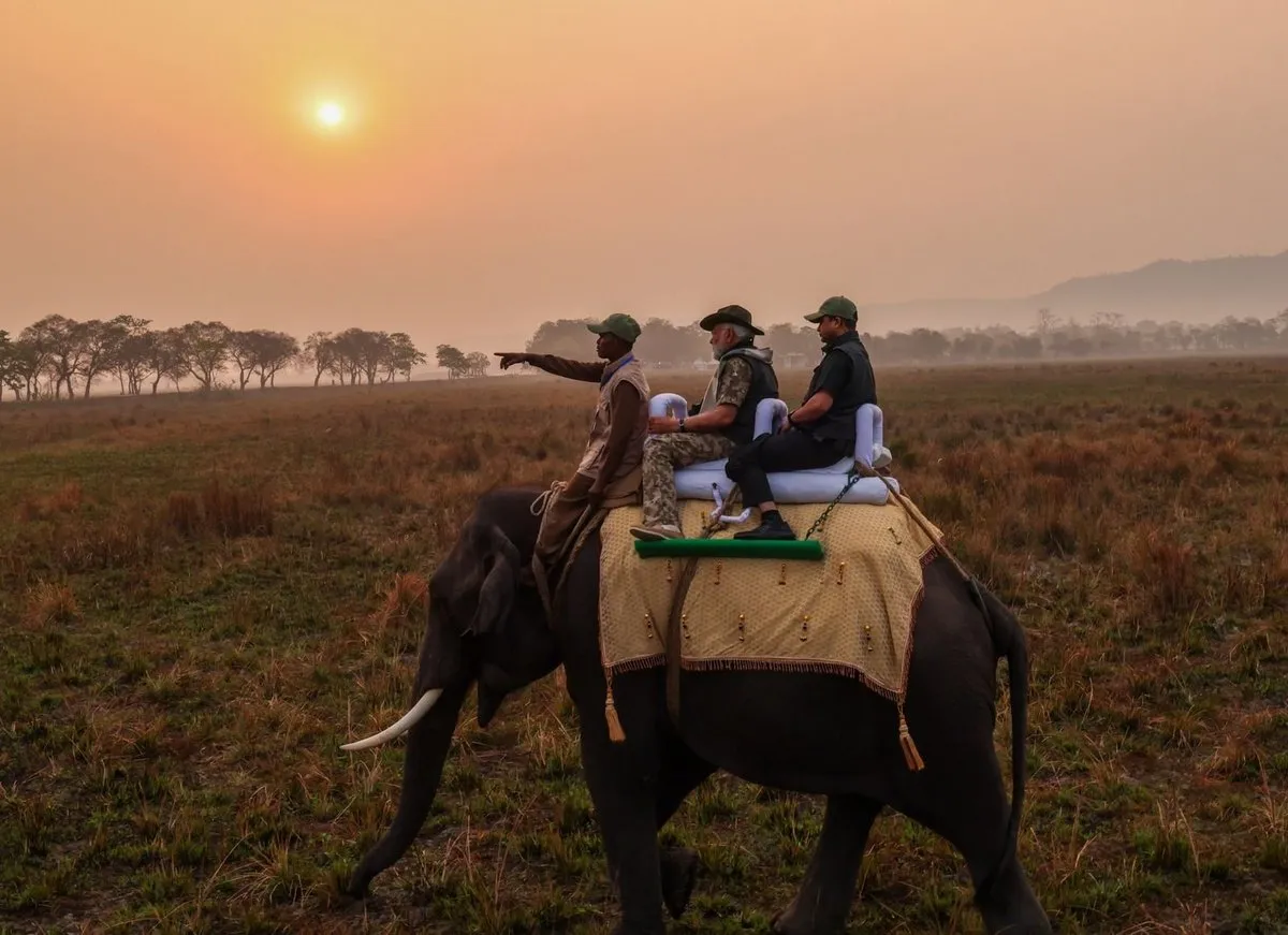 PM Modi's Kaziranga trip in pictures  Image: X/Narendra Modi