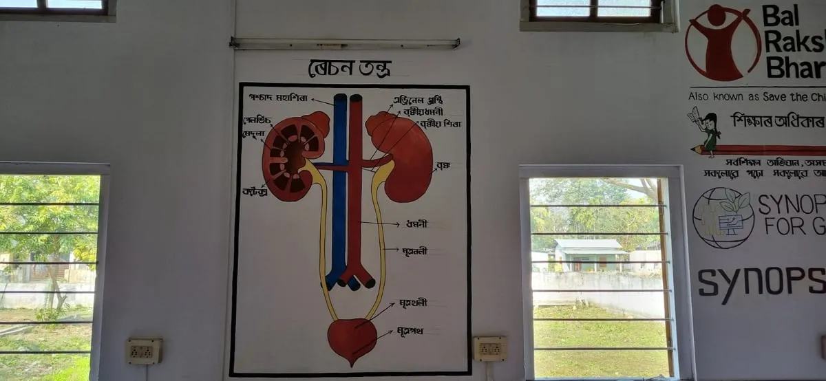 STEM Labs  