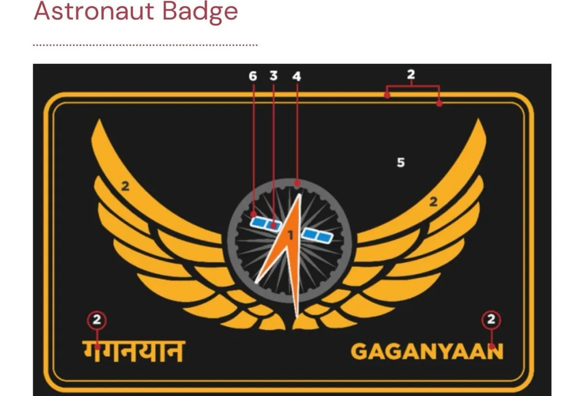 Astronaut Badge  