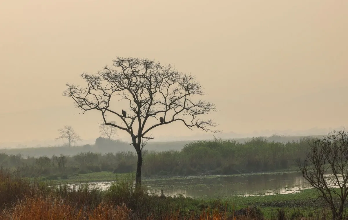 PM Modi's Kaziranga trip in pictures  Image: X/Narendra Modi