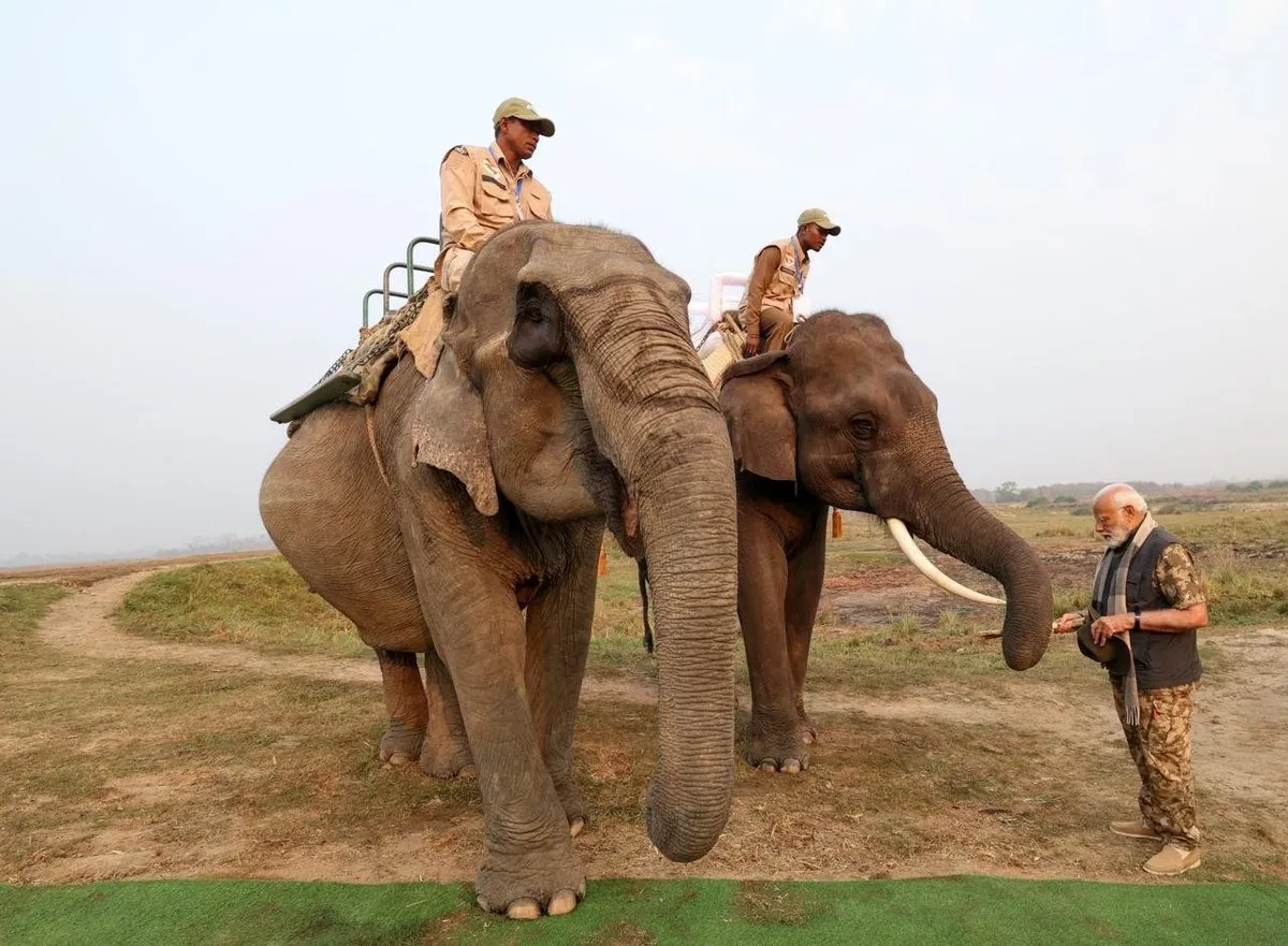 PM Modi's Kaziranga trip in pictures  Image: X/Narendra Modi