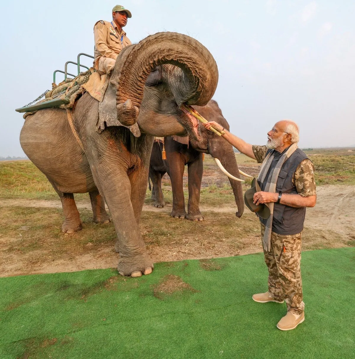 PM Modi's Kaziranga trip in pictures  Image: X/Narendra Modi