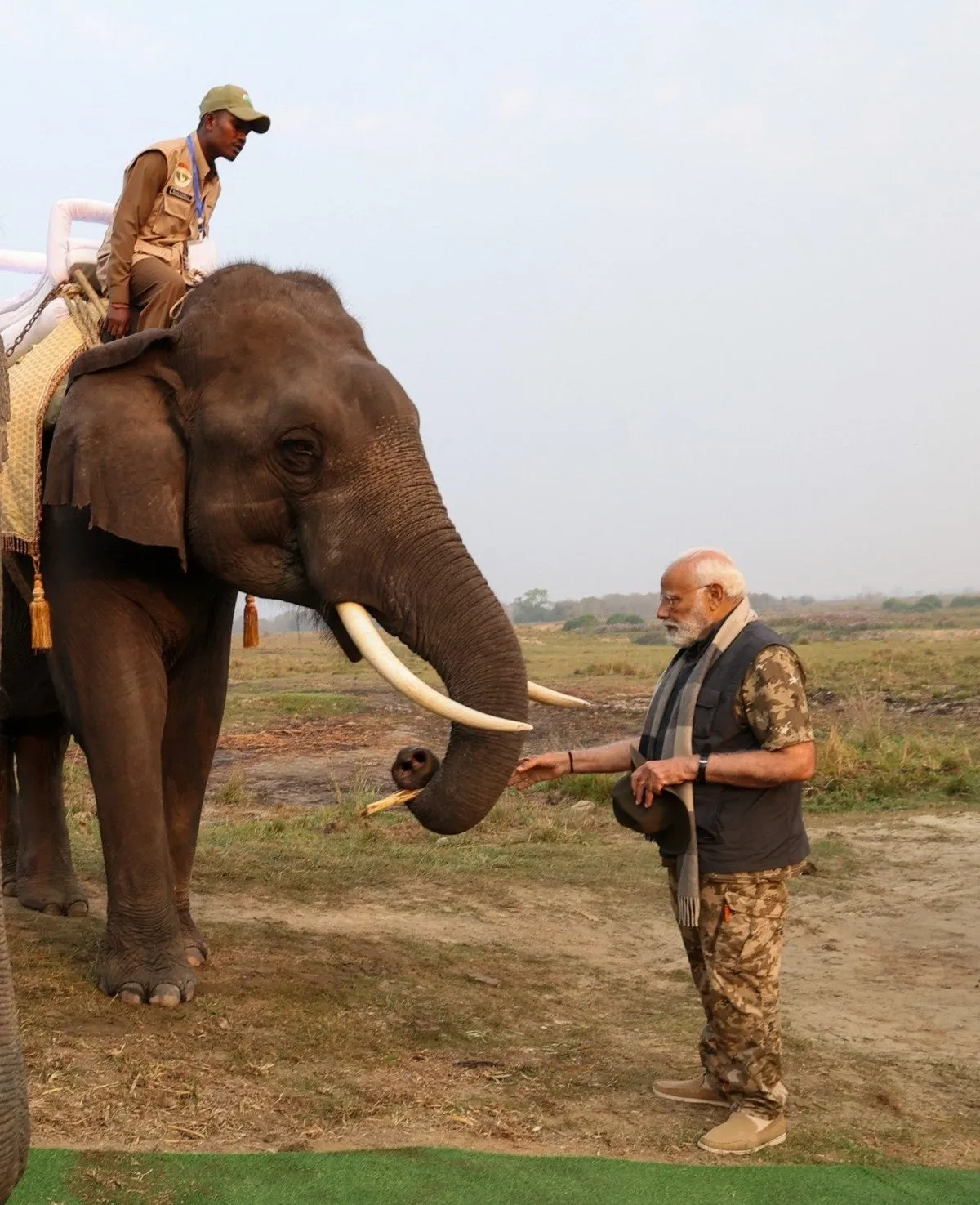 PM Modi's Kaziranga trip in pictures  Image: X/Narendra Modi