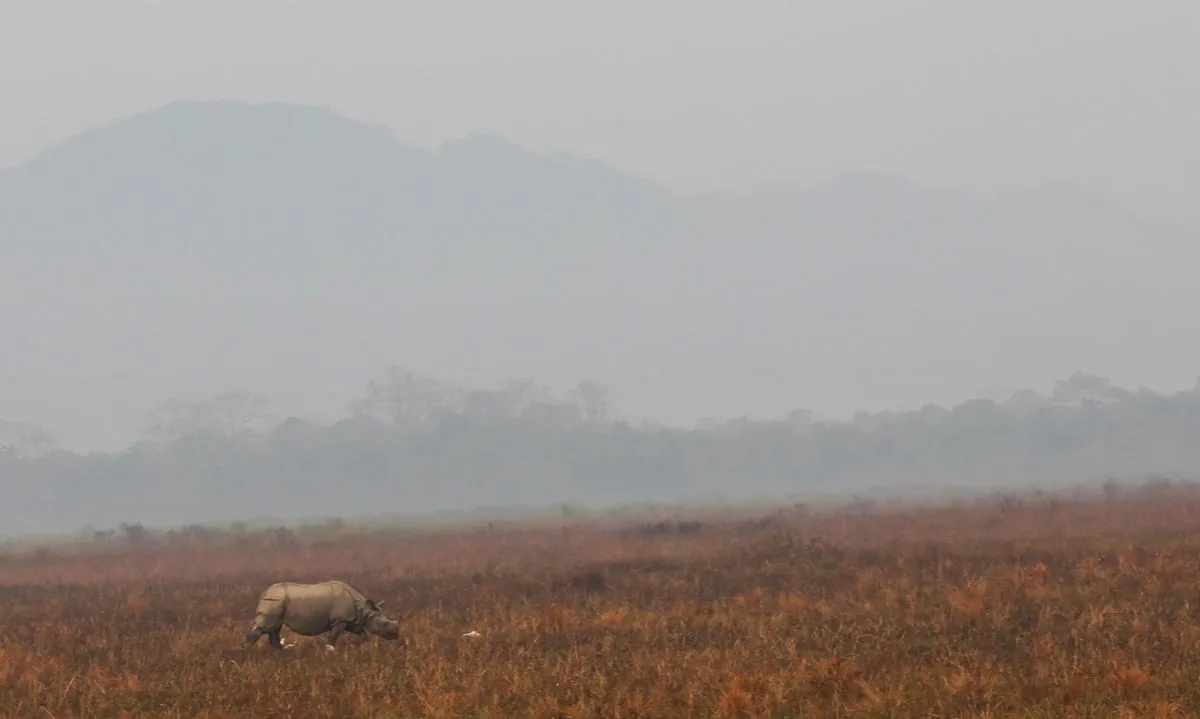 PM Modi's Kaziranga trip in pictures  Image: X/Narendra Modi