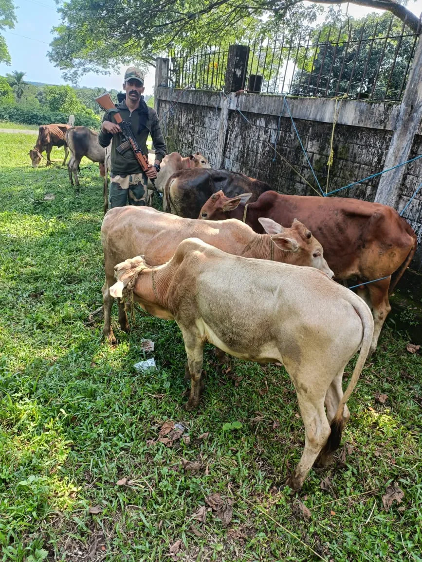 BSF Meghalaya Foils Illegal Smuggling Attempts along Indo-Bangladesh border  