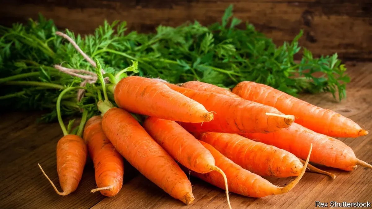 Carrots  