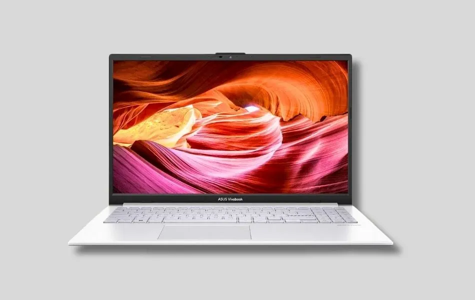 ASUS Vivobook Go 15  