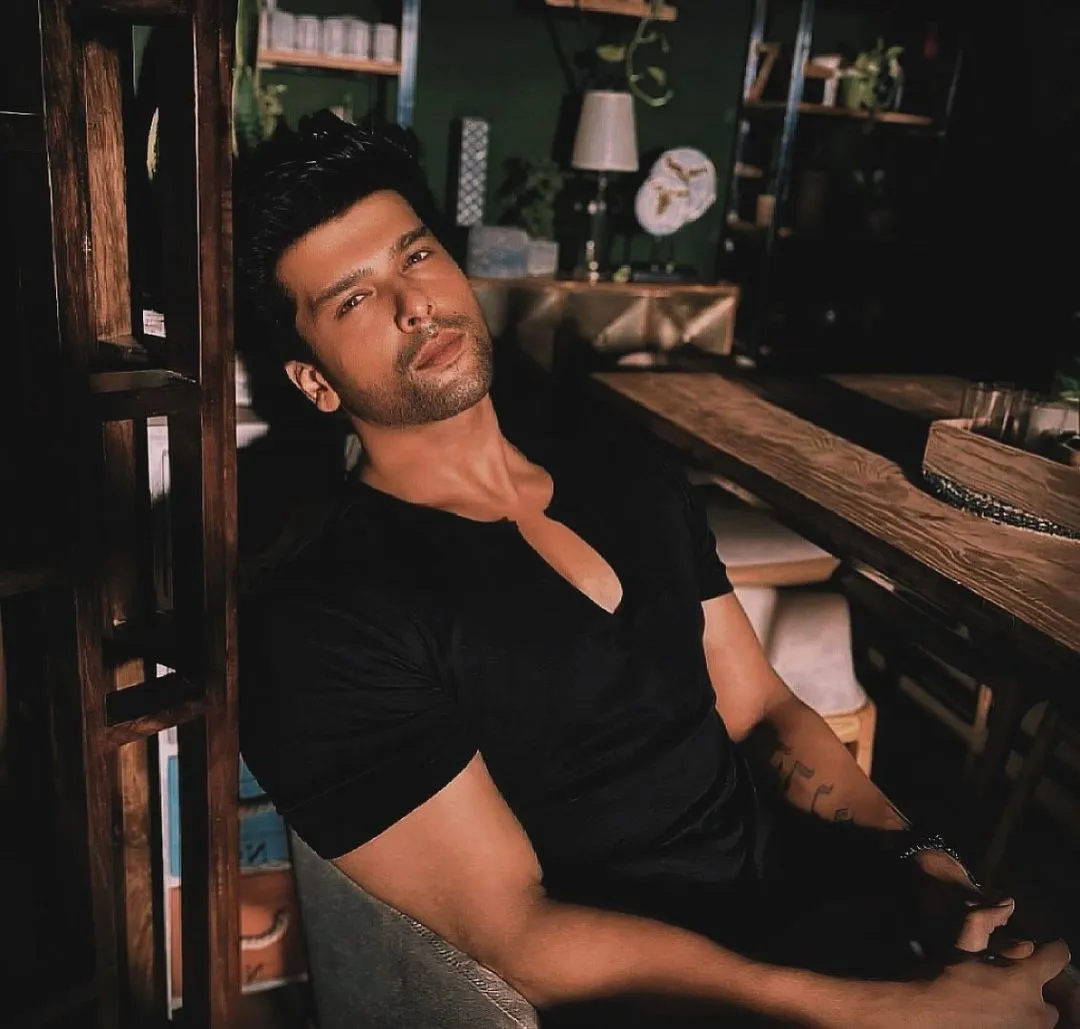 Kushal Tandon (Bigg Boss 7)  