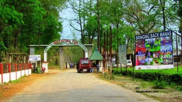 Manas National Park  