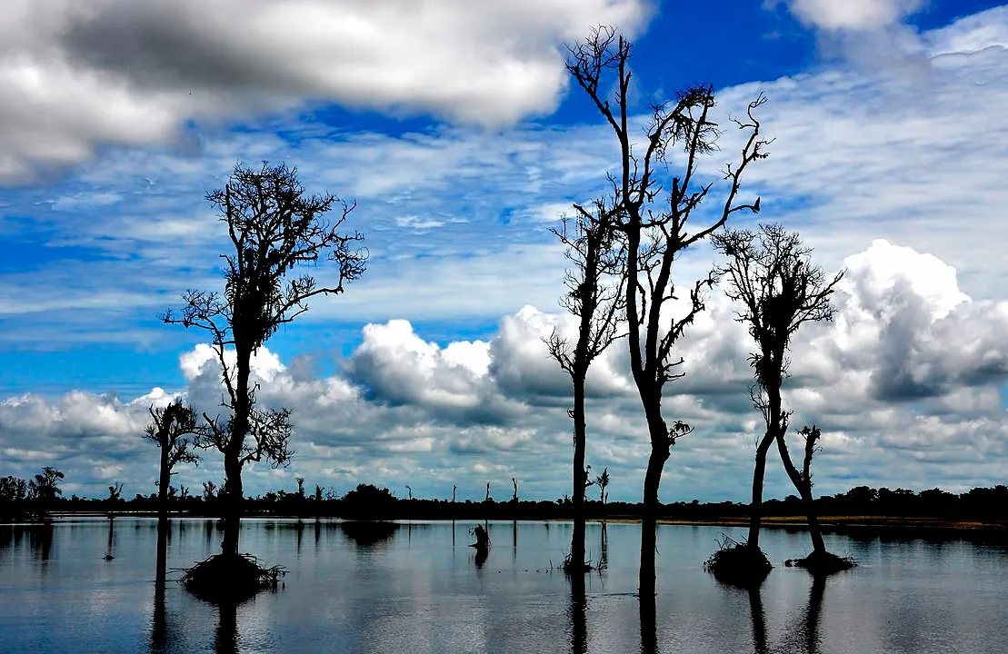 Dibru-Saikhowa National Park  