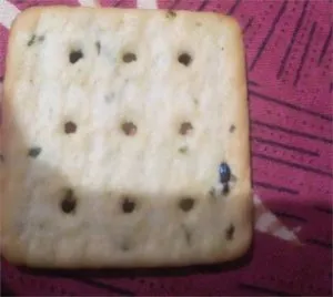 insect in biscuit india punjab
