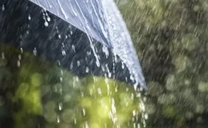 Light rain drops splashes in parts of Haryana-Punjab